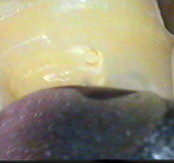 C6 burnt dentin1 copy small.jpg